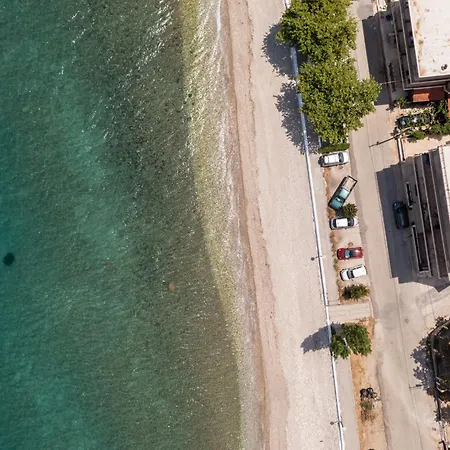 Flat On The Sea Порос